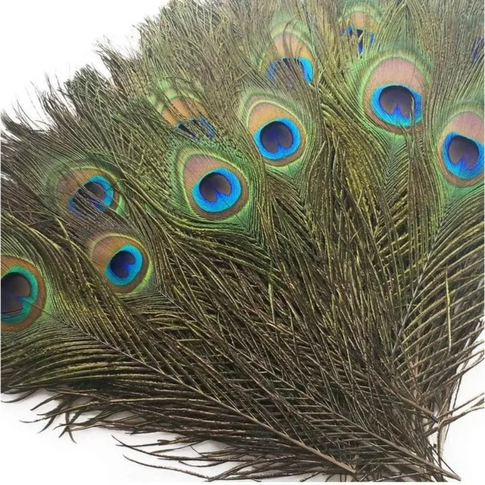 50 Count | Peacock GREEN Blue Feathers 10-12 inches for Wedding Decor - Picture 6 of 7